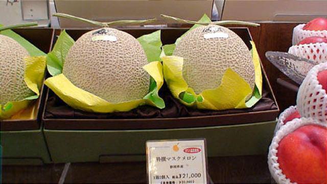 melon yubari