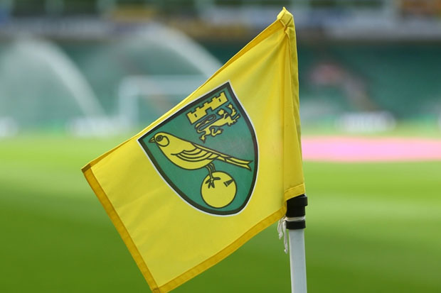 Liga Inggris Pemain Norwich City Positif Corona